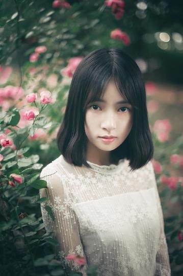 樱桃琥珀电视剧全集