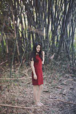 暴躁老女人免费高清电视剧