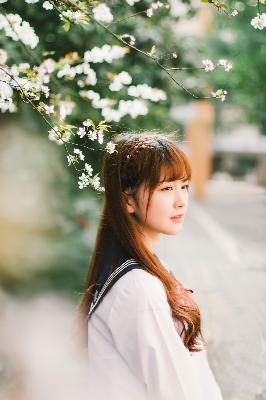 成全动漫电影大全免费观看完整版高清	159